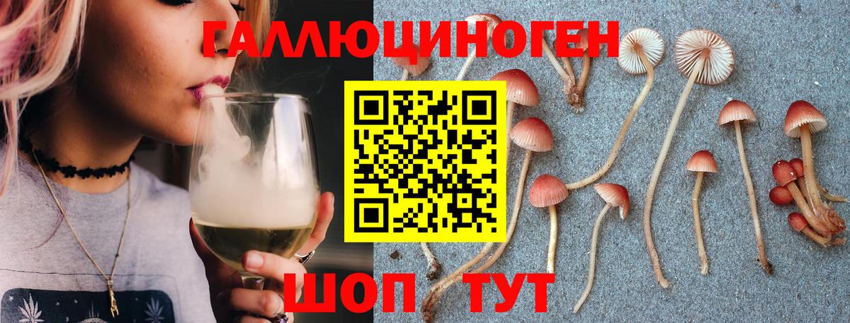 Ростов Великий  Галлюциногенные грибы Cubensis  Вход с VPN 